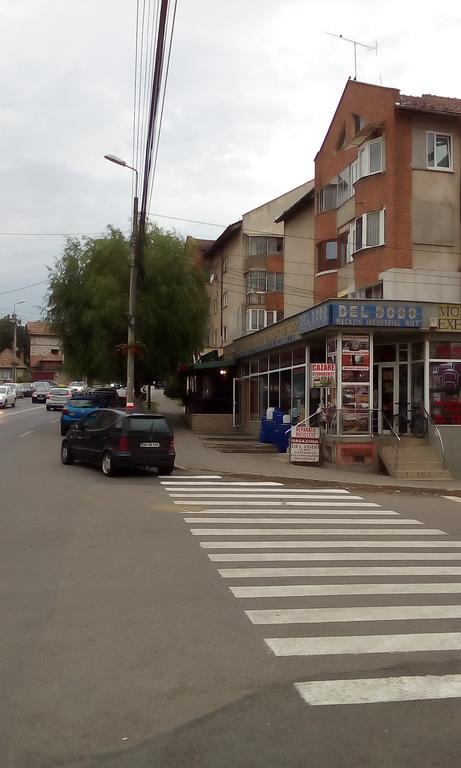 Garsoniera Del Dodo Lejlighed Alba Iulia Eksteriør billede